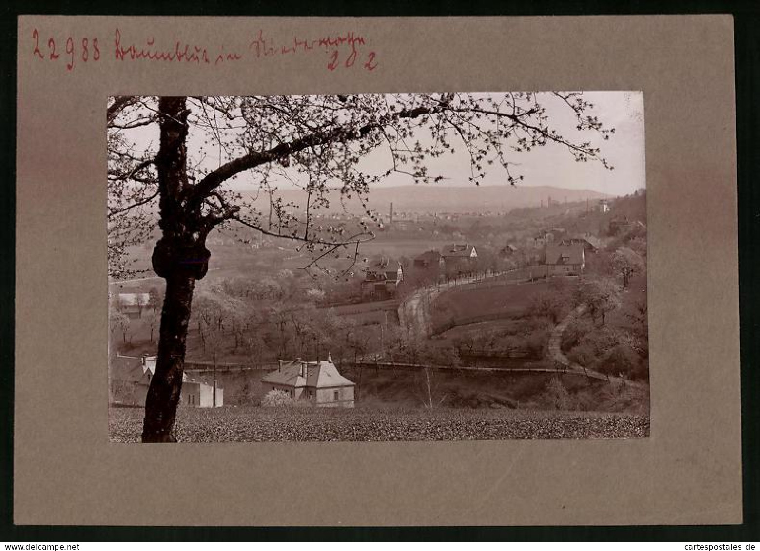 Fotografie Brück & Sohn Meissen, Ansicht Niederwartha, Blick Auf Den Ort Während Der Baumblüte  - Orte