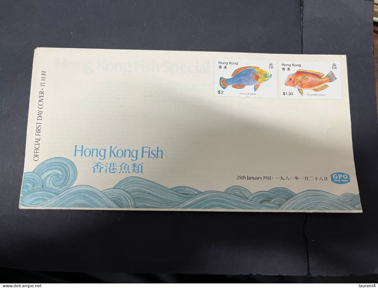 19-5-2024 (5 Z 34) Hong Kong FDC (no Postmark) Fish - 1981 - Cartas & Documentos