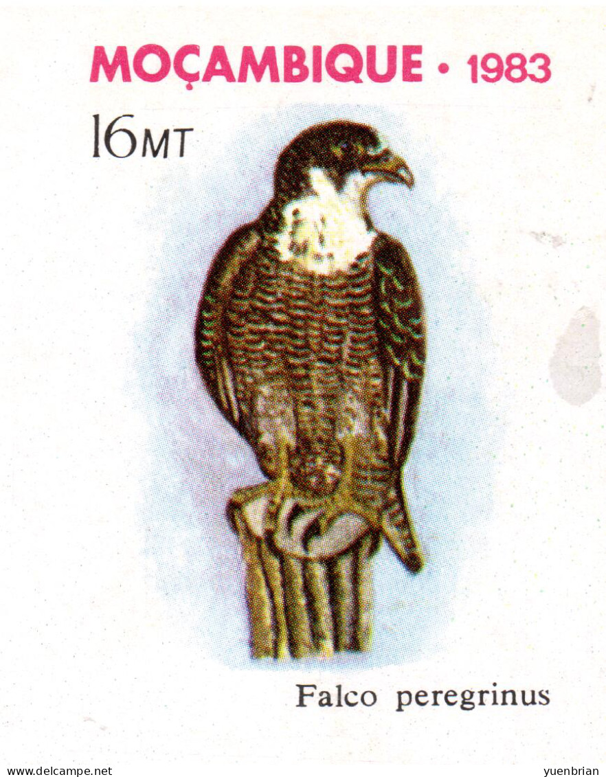 Mozambique 1983, Bird, Birds, Postal Stationery, Eagle, Set Of 3v, Pre-Stamped Post Card, MNH** - Eagles & Birds Of Prey