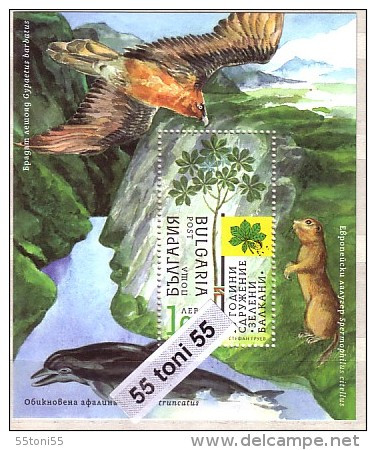 2013   Ecology - Green Balkans (Vulture Dolphin Hamster)  S/S- MNH  BULGARIA / Bulgarie - Unused Stamps