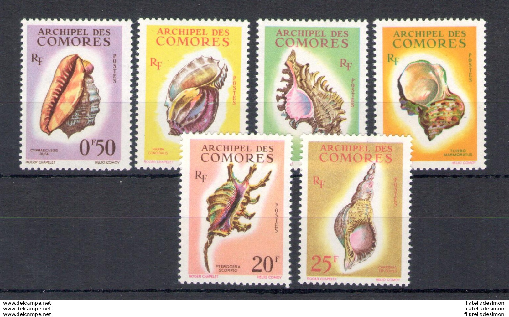 1962 Comores - Catalogo Yvert N. 19-24 - Conchiglie - 6 Valori - MNH** - Vissen