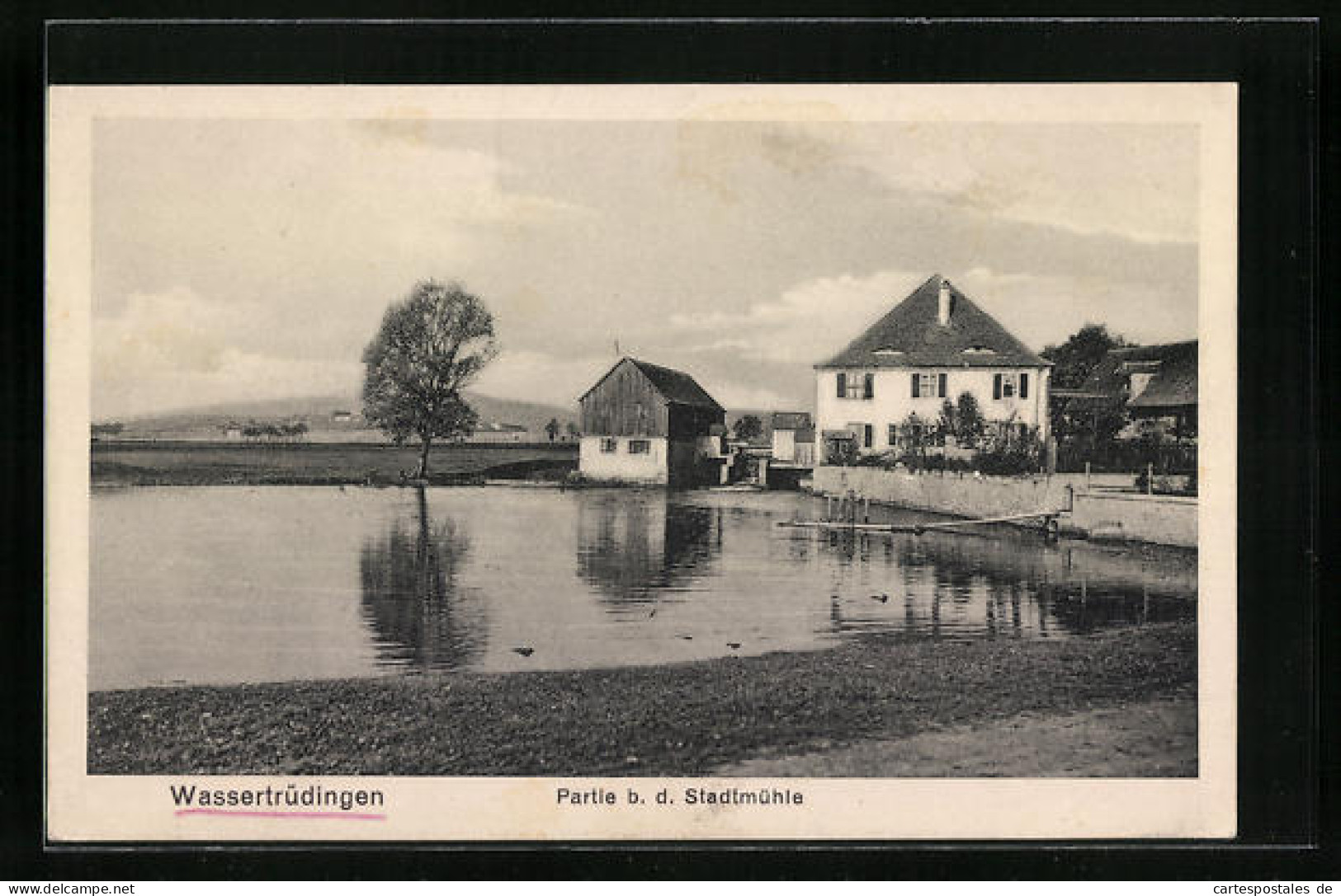 AK Wassertrüdingen, Partie B. D. Stadtmühle  - Other & Unclassified