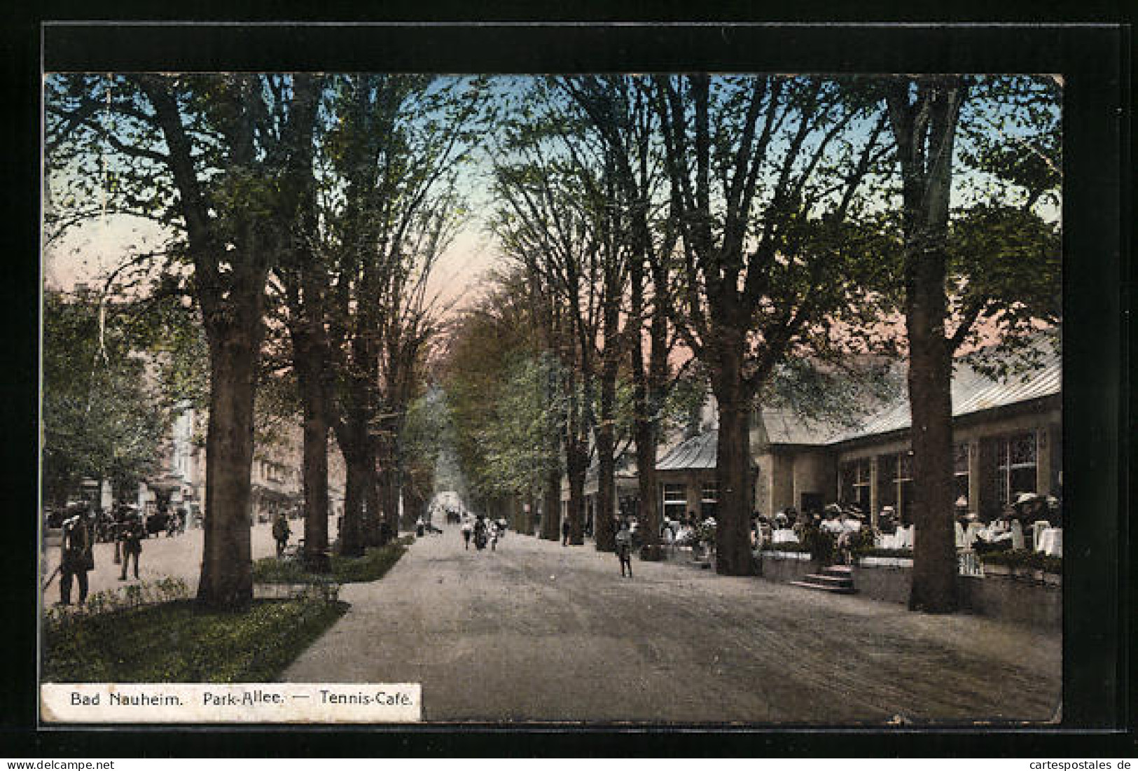 AK Bad Nauheim, Park-Allee Mit Tennis-Café  - Bad Nauheim