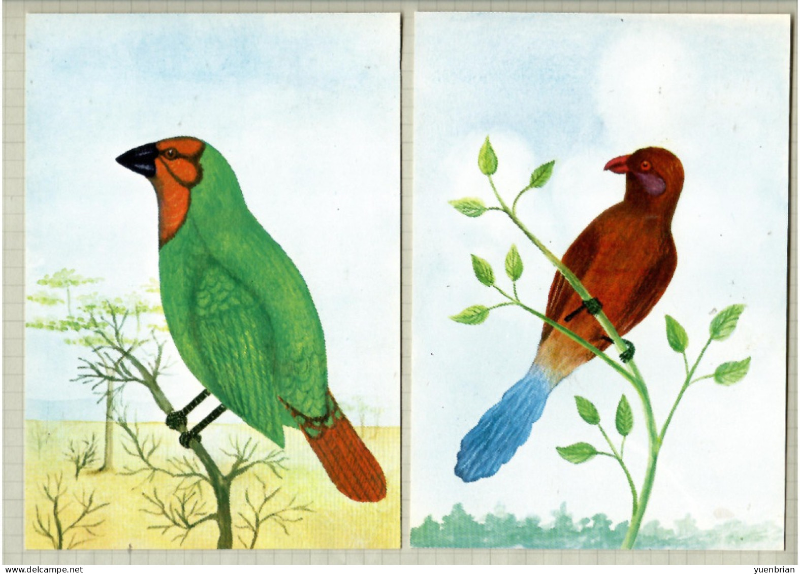 Mozambique 1987, Bird, Birds, Postal Stationery, Kingfisher, Set Of 6v, Pre-Stamped Post Card, MNH** - Sonstige & Ohne Zuordnung