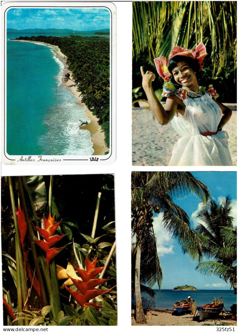 DIVERS ANTILLES / Lot De 45 C.P.M. écrites - 5 - 99 Postcards