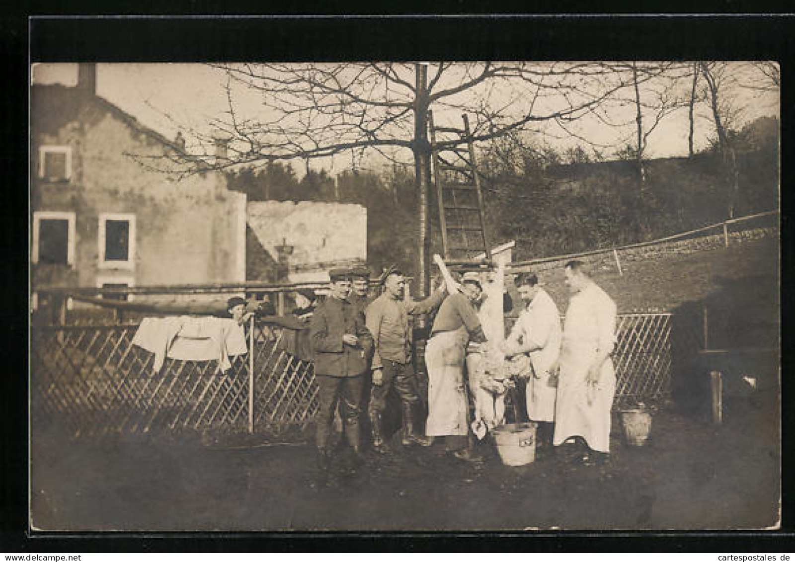 Foto-AK Fleischer Und Soldaten Mit Geschlachtetem Schwein  - Guerre 1914-18