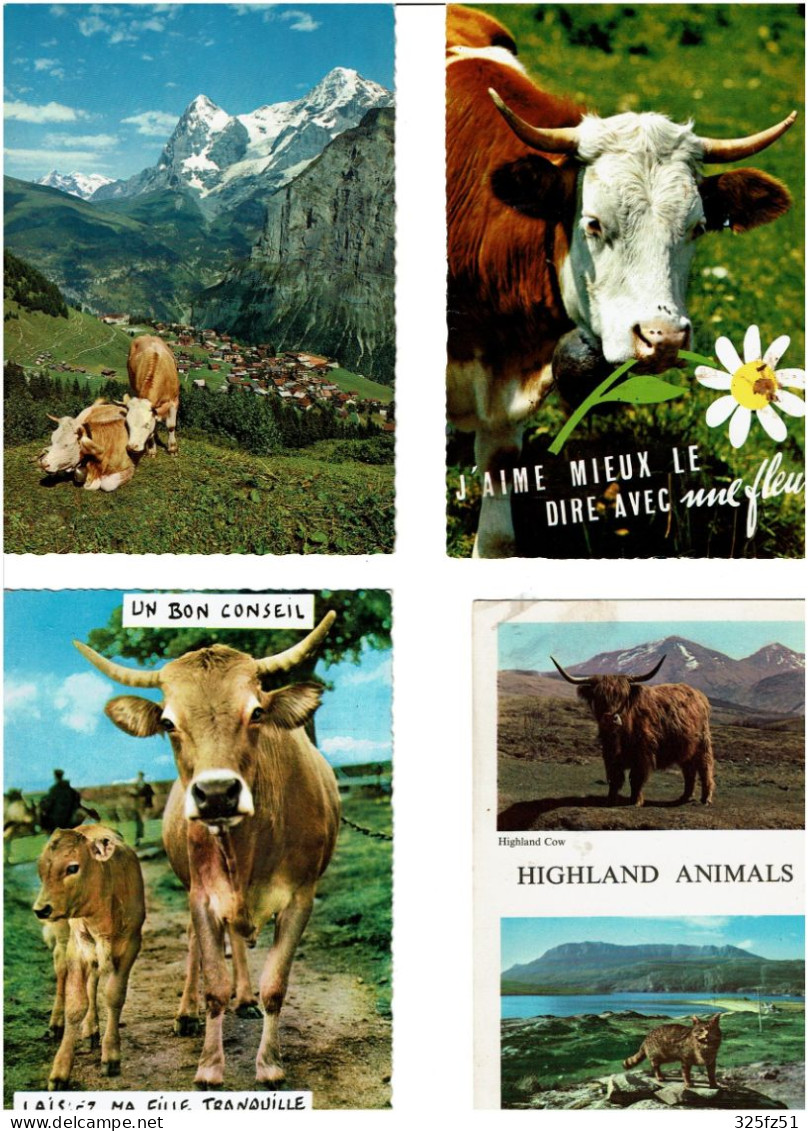 VACHES / Lot De 88 C.P.M. écrites - 5 - 99 Postcards