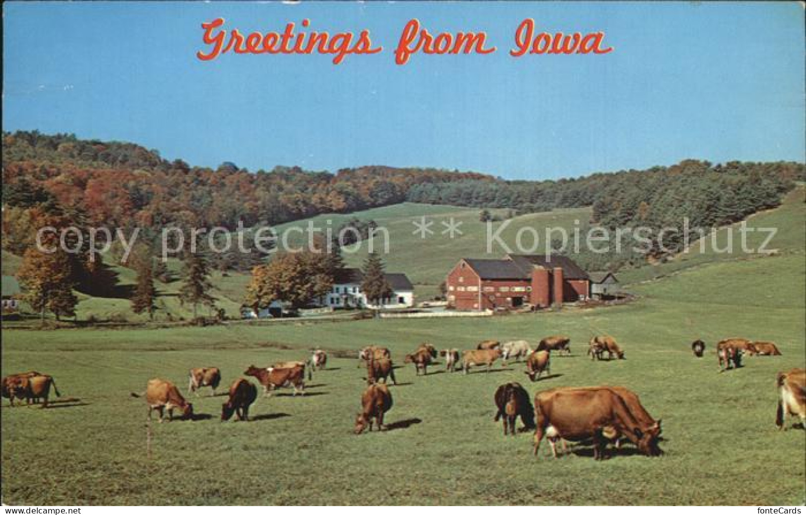 72510790 Iowa Cows Farm - Andere & Zonder Classificatie