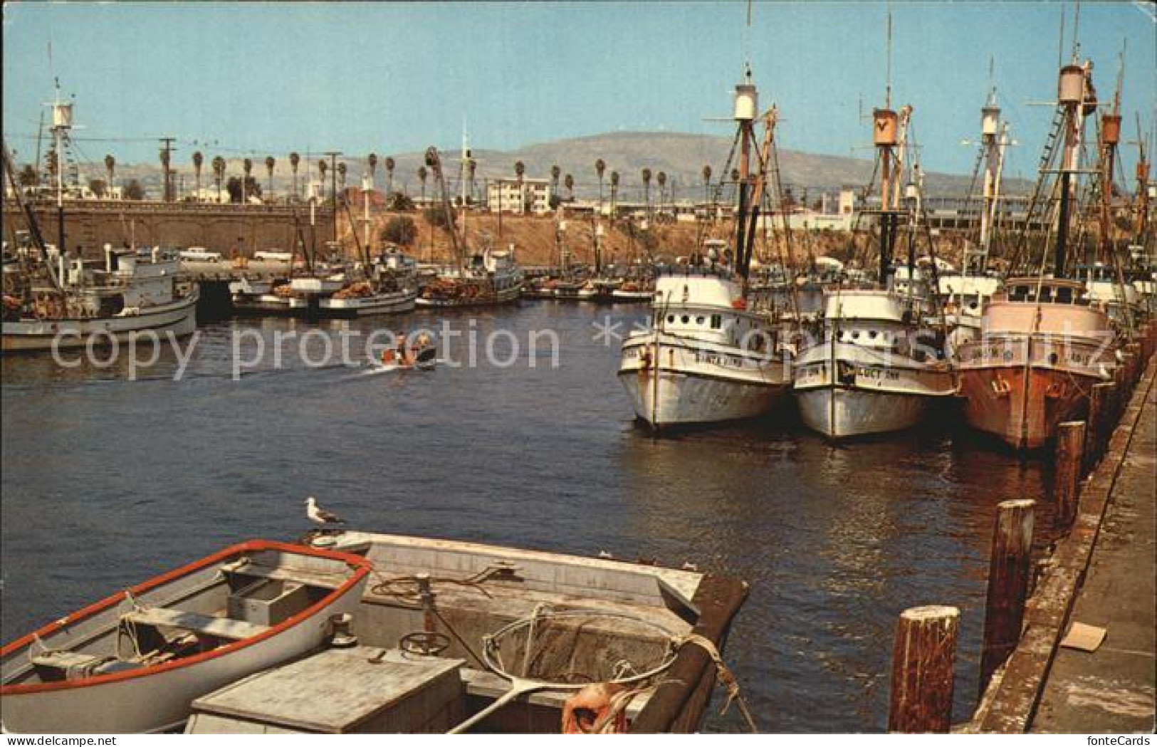 72501272 San_Pedro_California Fishing Fleet At Dock - Autres & Non Classés