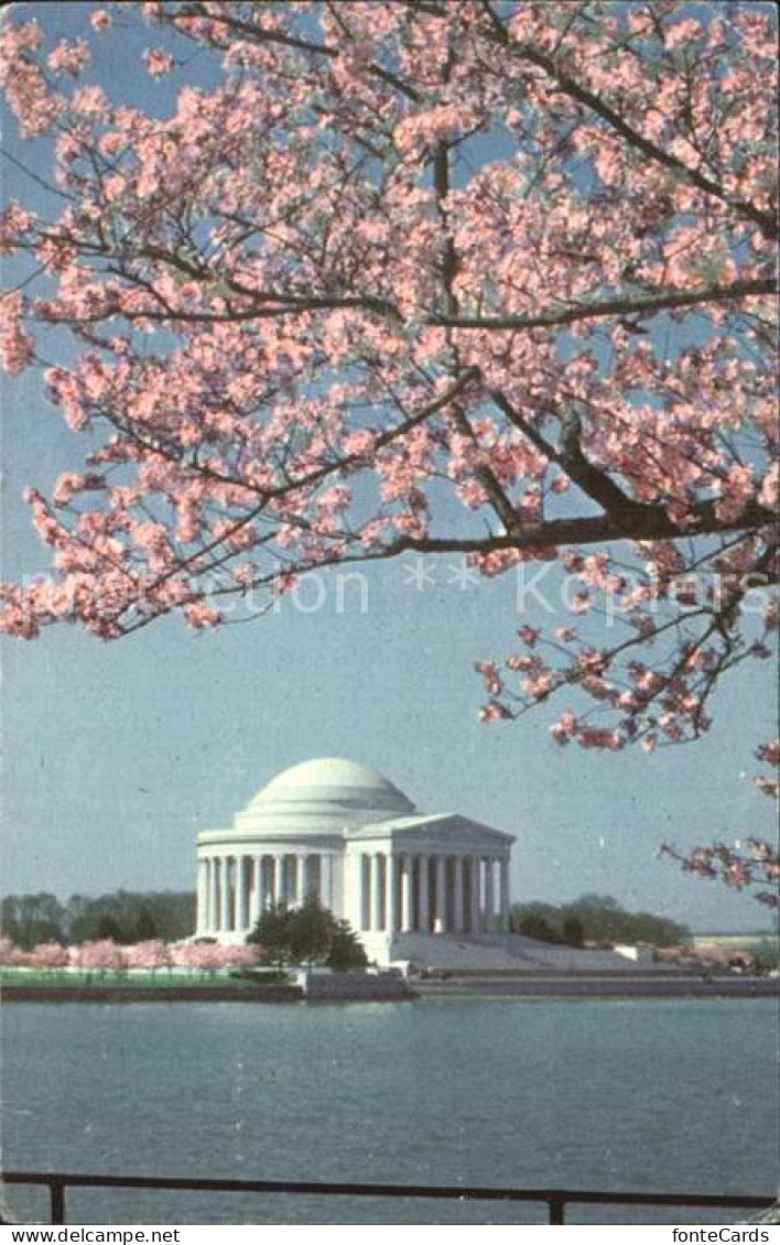 72498472 Washington DC Jefferson Memorial Ionic Temple  - Washington DC