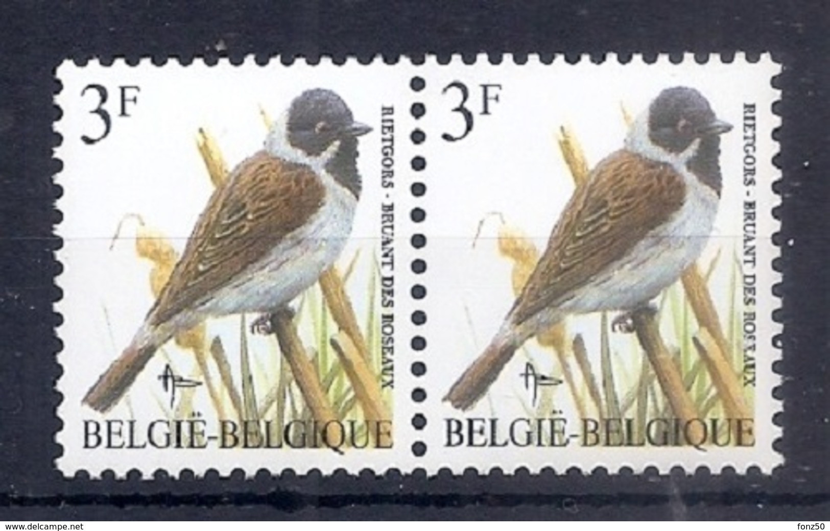BELGIE * Buzin * Nr 2425 * Postfris Xx * TYPO PAPIER - WITTE GOM - 1985-.. Birds (Buzin)