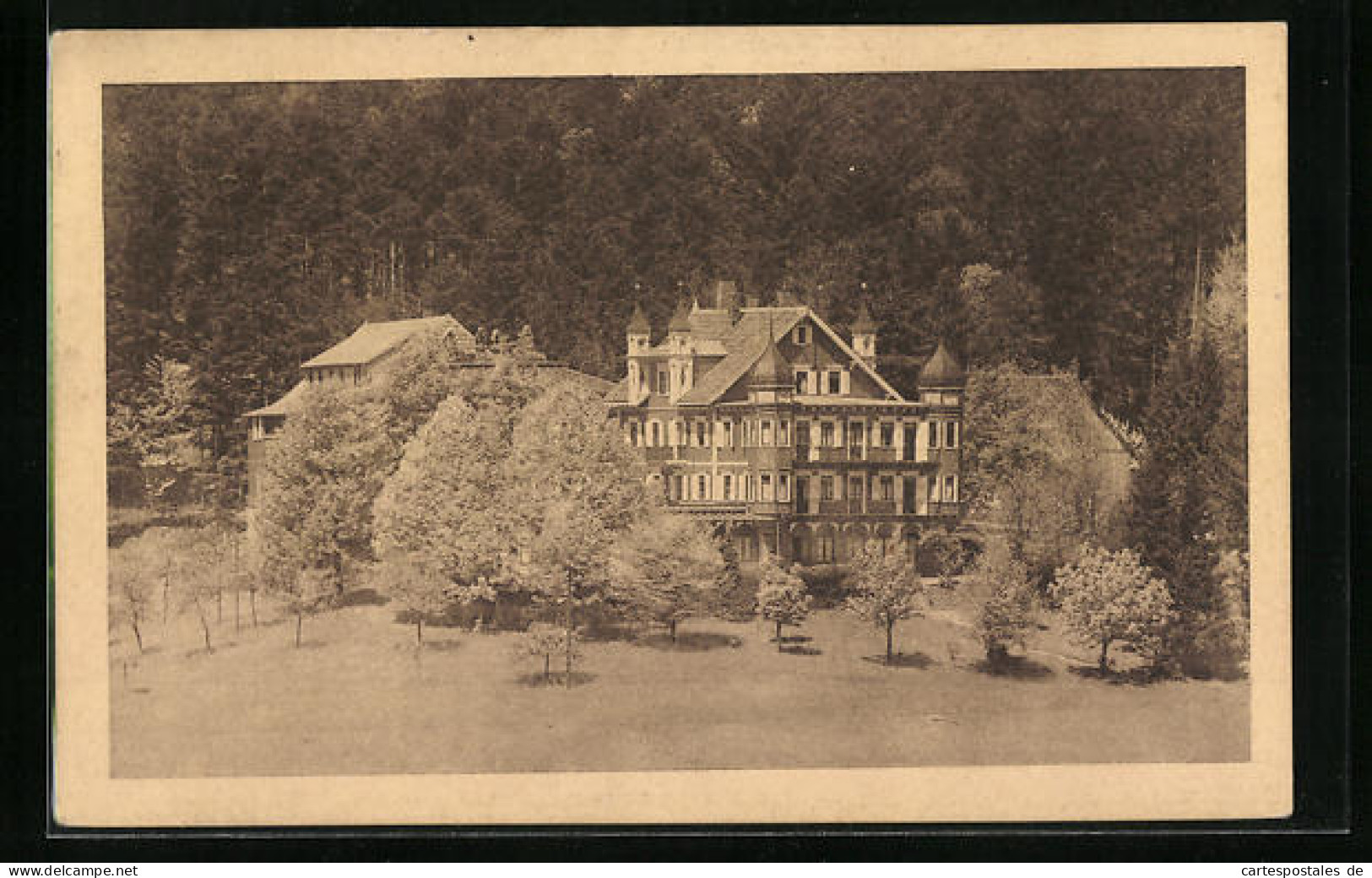 AK Herrenalb, Ansicht Der Falkenburg  - Bad Herrenalb