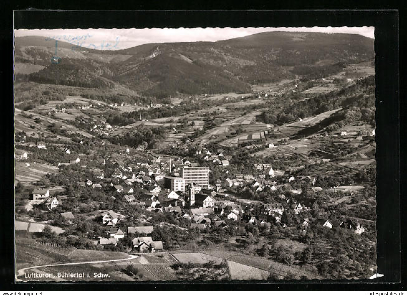 AK Bühlertal / Schwarzwald, Gesamtansicht Mit Hochkopf  - Buehlertal