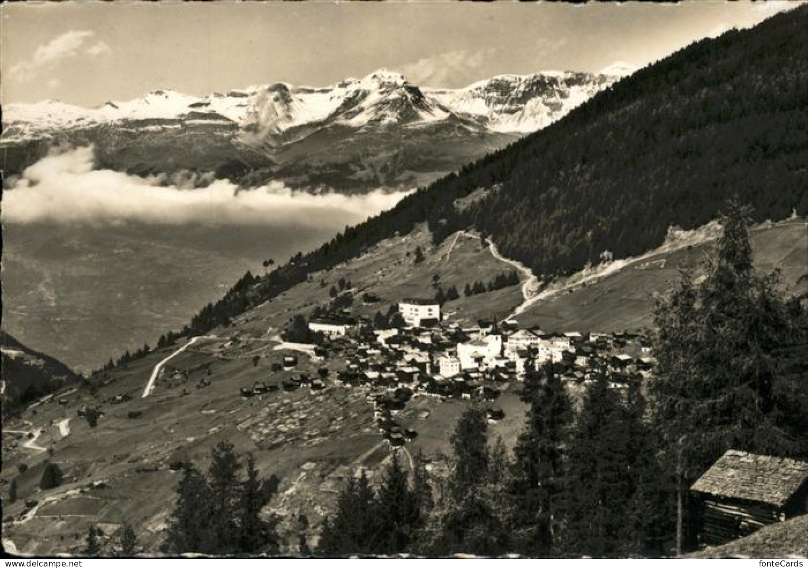 11113259 St_Luc Panorama Berner Alpen - Autres & Non Classés