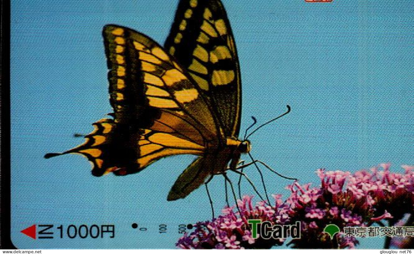 TELECARTE ETRANGERE.. PAPILLON - Butterflies