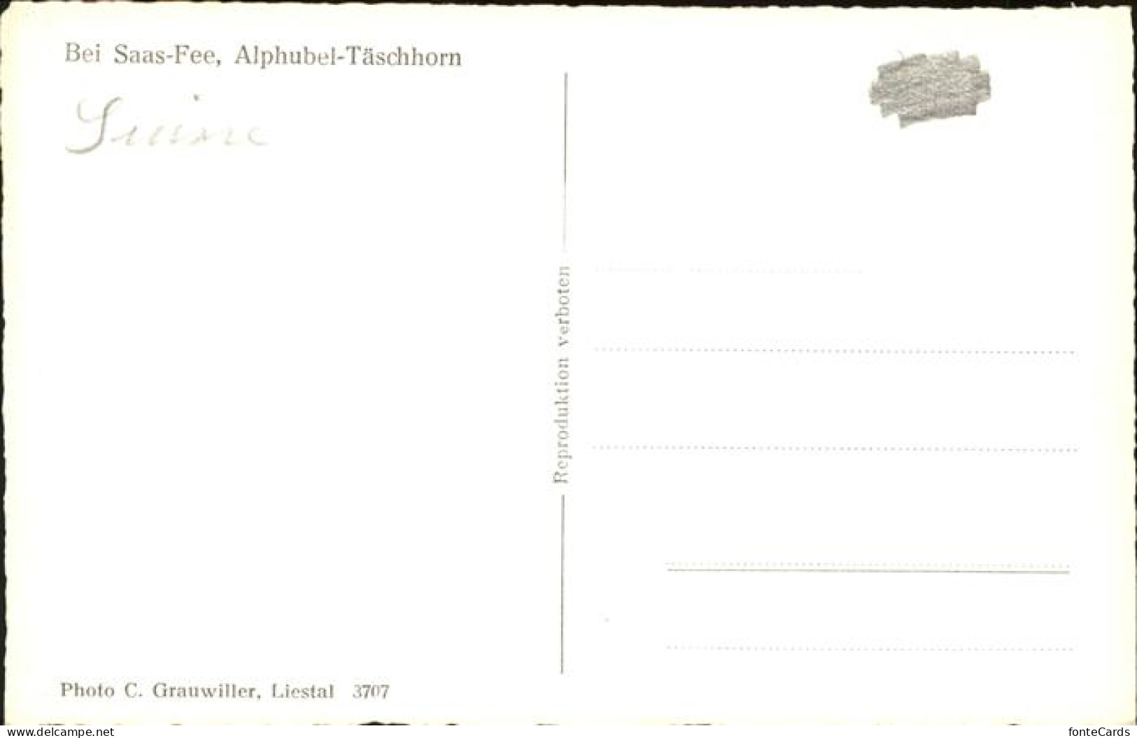11113141 Saas-Fee Alphubel Taeschhorn - Autres & Non Classés