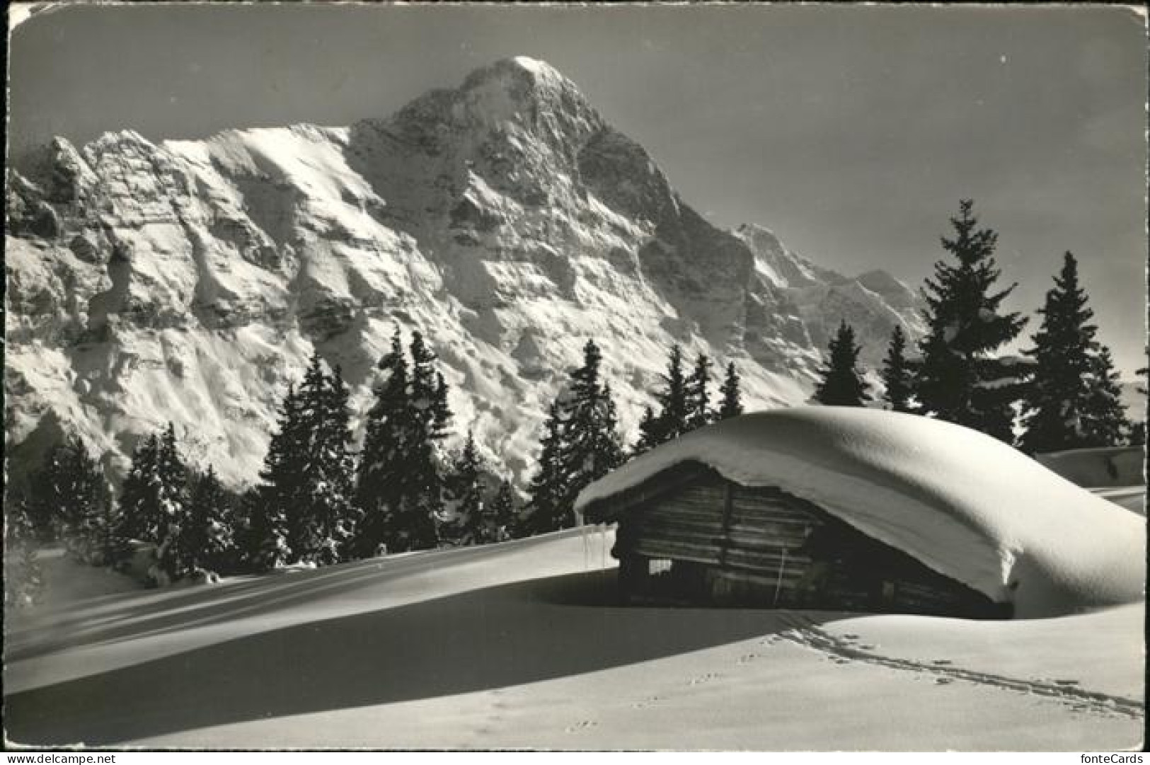 11112639 Grindelwald Eiger Jungfrau - Autres & Non Classés