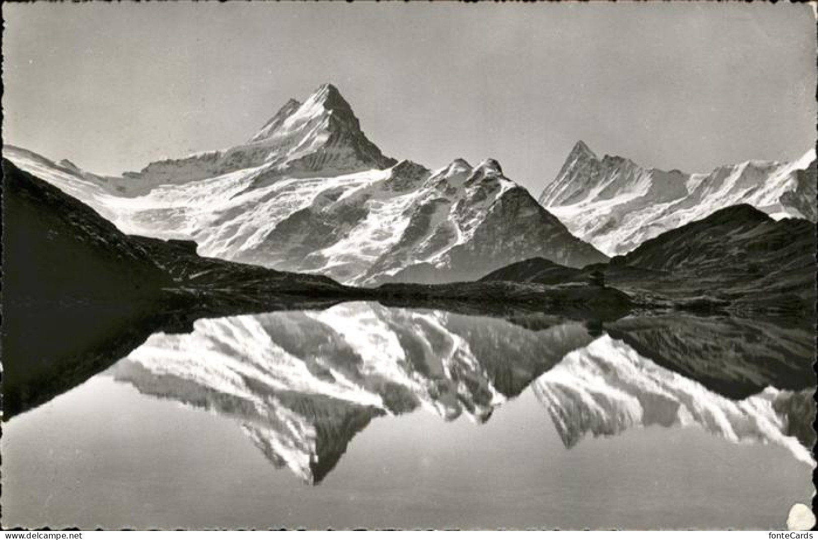 11112548 Bachalpsee Schreckhorn Finsteraarhorn - Autres & Non Classés