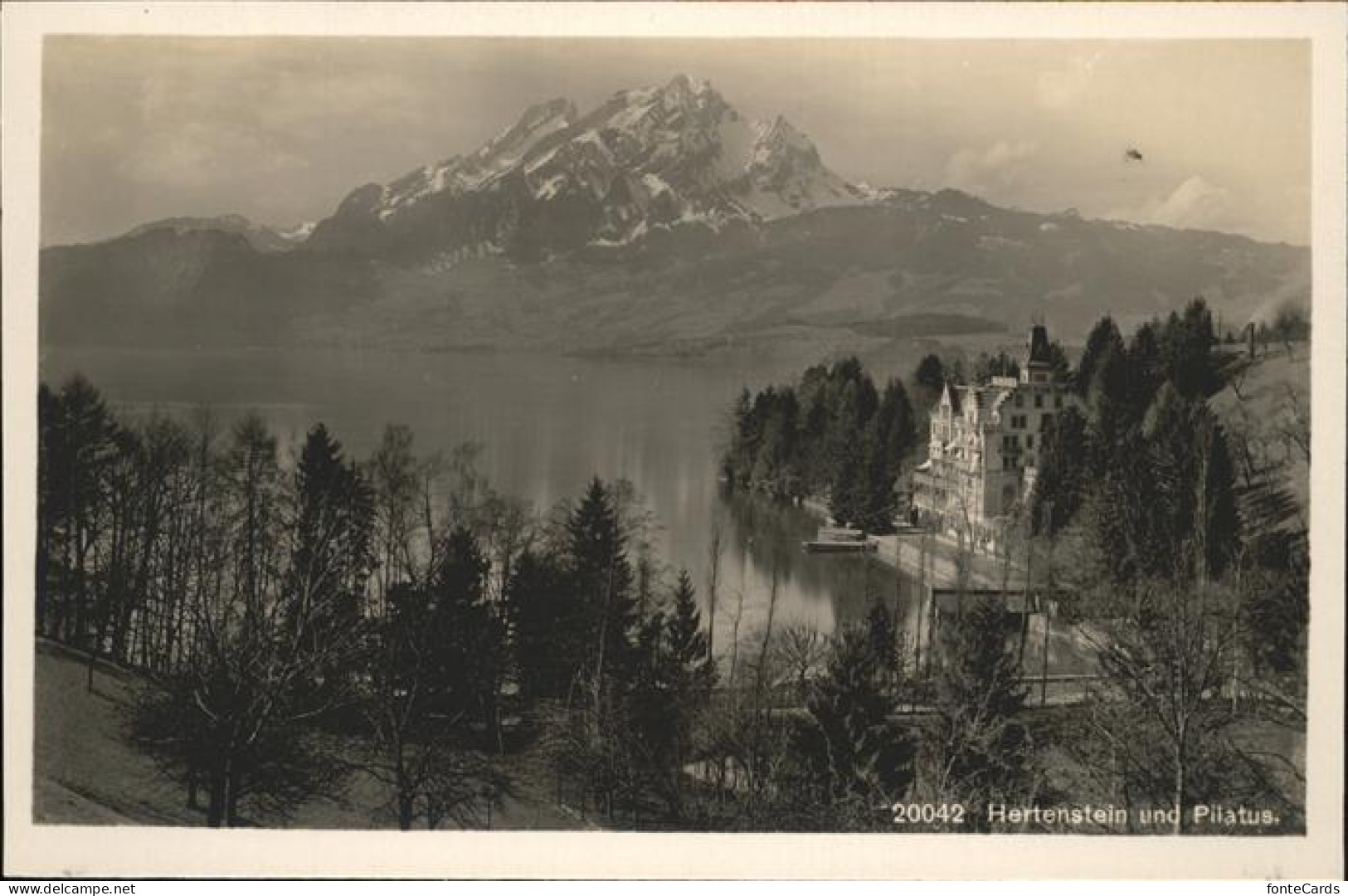 11112519 Hertenstein Pilatus - Autres & Non Classés