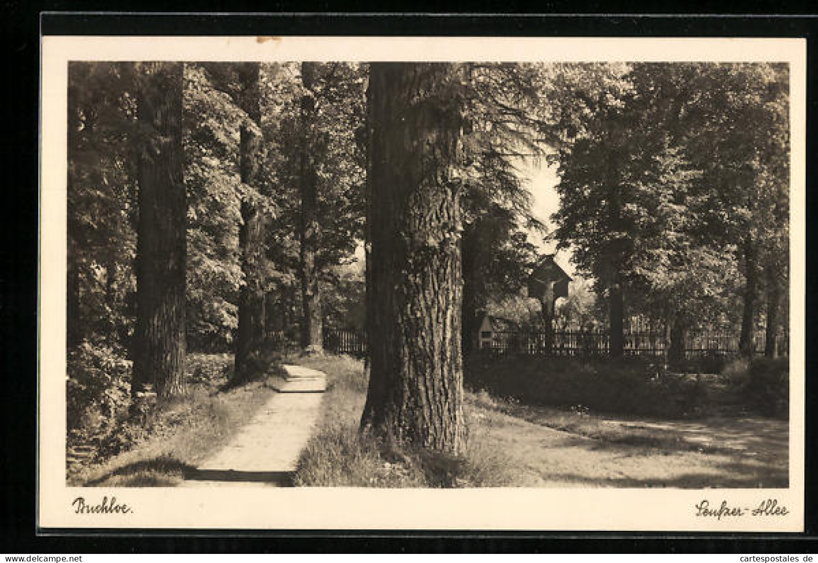 AK Buchloe, Idylle An Der Seufzer-Allee  - Buchloe