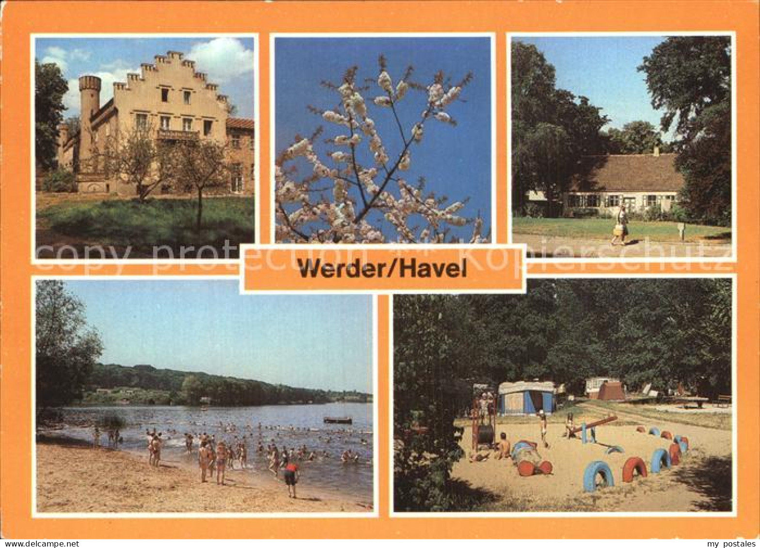 72557418 Werder Havel Schloss Petzow Baumbluete Obstbaummuseum Campingplatz Werd - Sonstige & Ohne Zuordnung