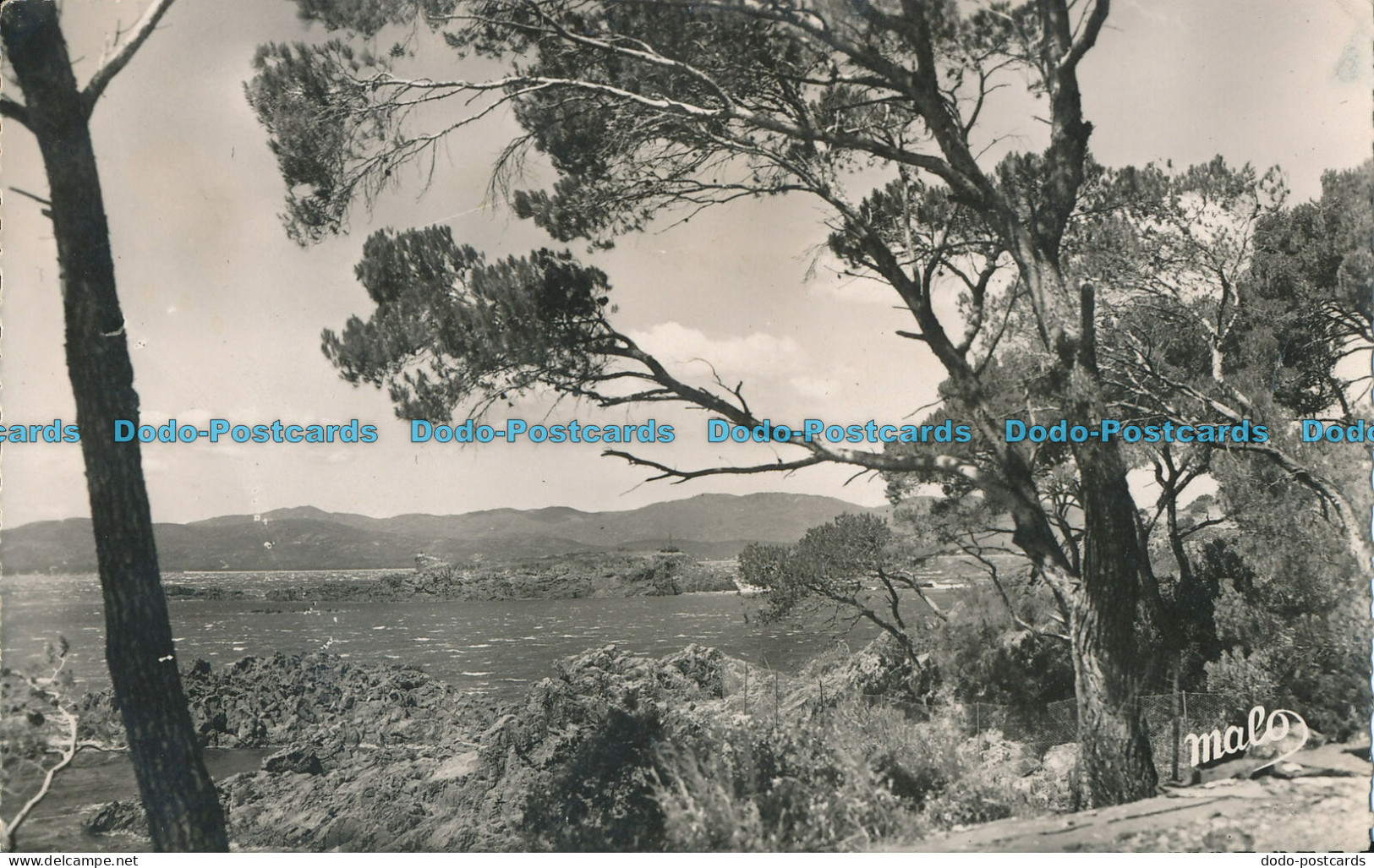 R007800 St Raphael. Le Lion De Terre. Malo. 1949 - Monde