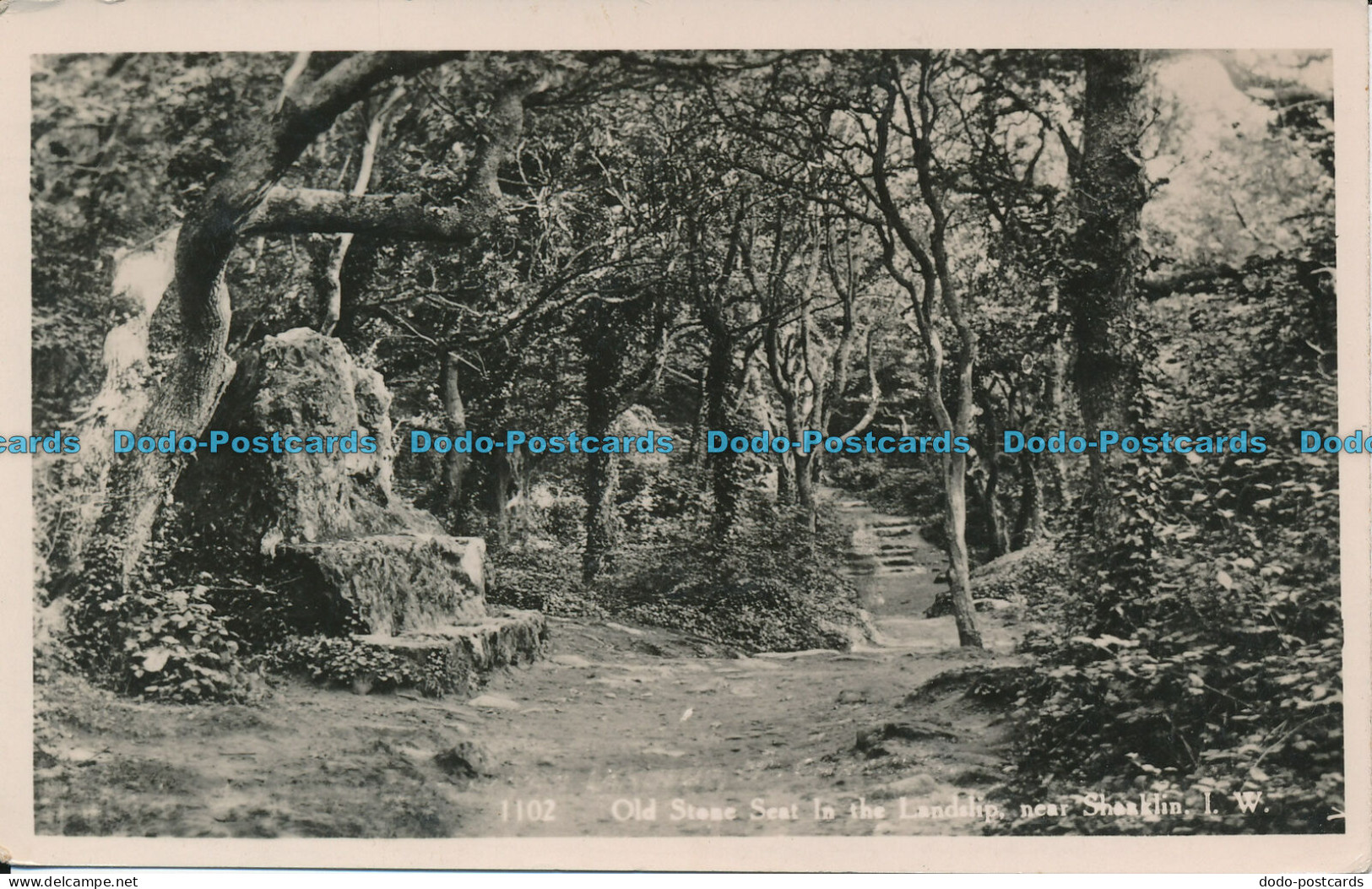 R009450 Old Stone Seat In The Landslip Near Shanklin. I. W. Nigh. RP. 1946 - Monde