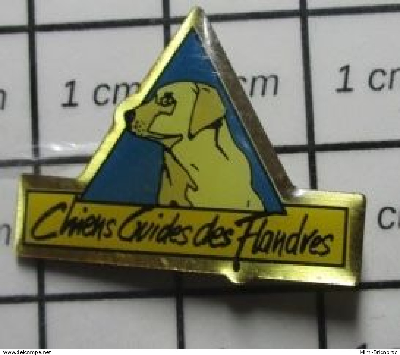 613e Pin's Pins / Beau Et Rare / THEME : ANIMAUX / CHIENS GUIDES DES FLANDRES - Tiere