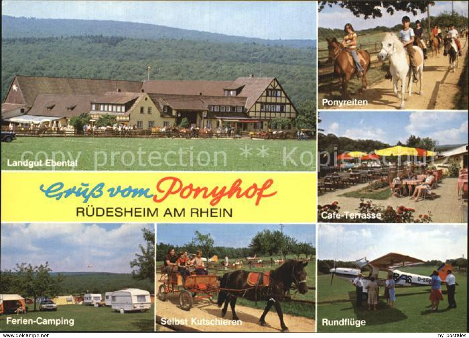 72551751 Ruedesheim Rhein Landgut Ebental Ponyreiten Ferien Camping Cafe Terrass - Ruedesheim A. Rh.