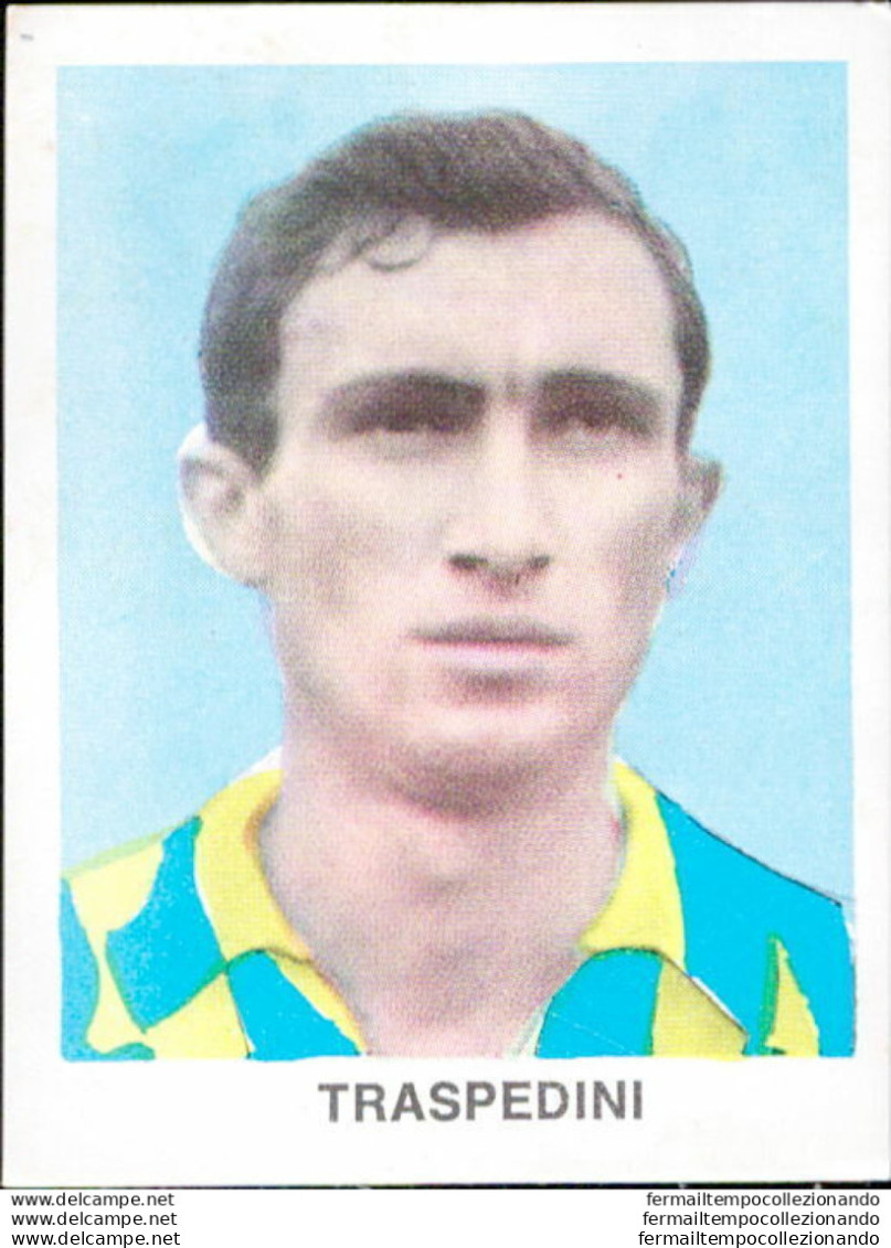 Bh39 Figurina Calciatori  Dolfar  Traspedini Verona - Catalogues