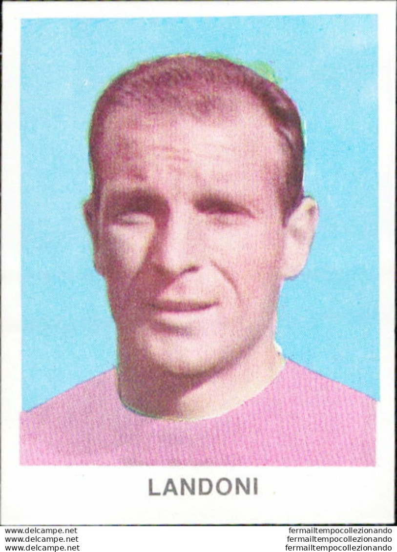 Bh25 Figurina Calciatori  Dolfar  Landoni Palermo - Catalogues