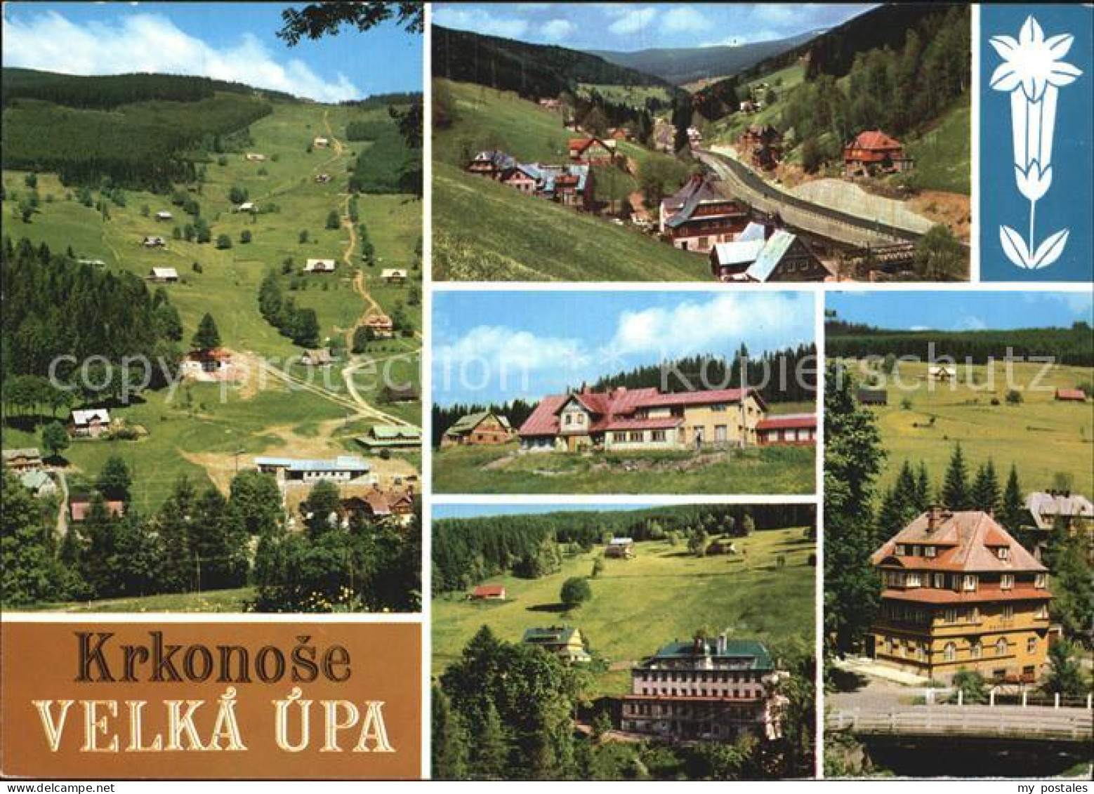 72551364 Krkonose Velka Upa  - Poland