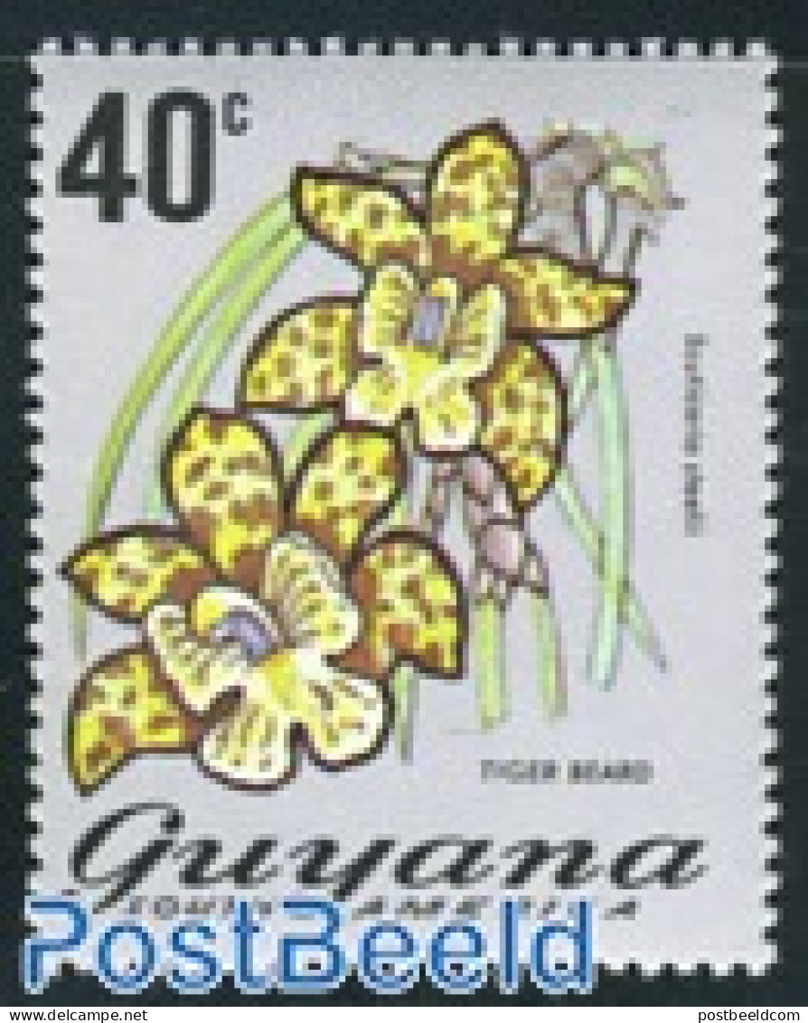 Guyana 1971 40c, Stamp Out Of Set, Mint NH, Nature - Flowers & Plants - Orchids - Guyane (1966-...)