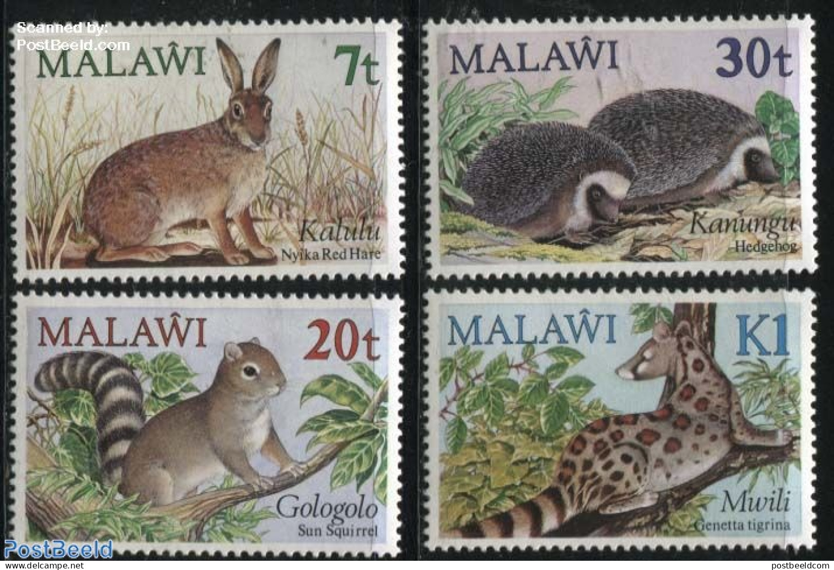 Malawi 1984 Animals 4v, Mint NH, Nature - Animals (others & Mixed) - Cat Family - Hedgehog - Rabbits / Hares - Malawi (1964-...)