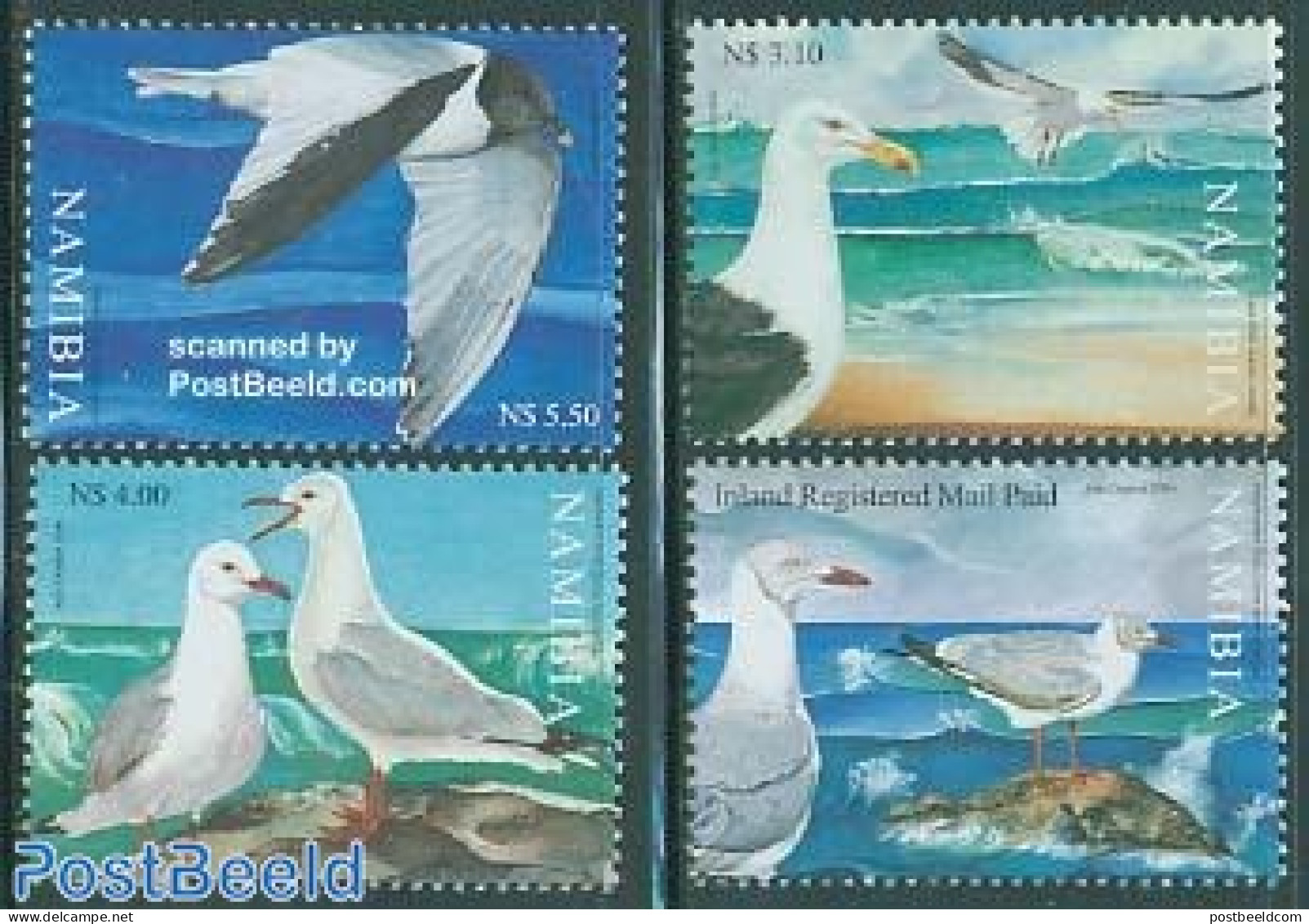 Namibia 2006 Gulls 4v, Mint NH, Nature - Birds - Namibie (1990- ...)