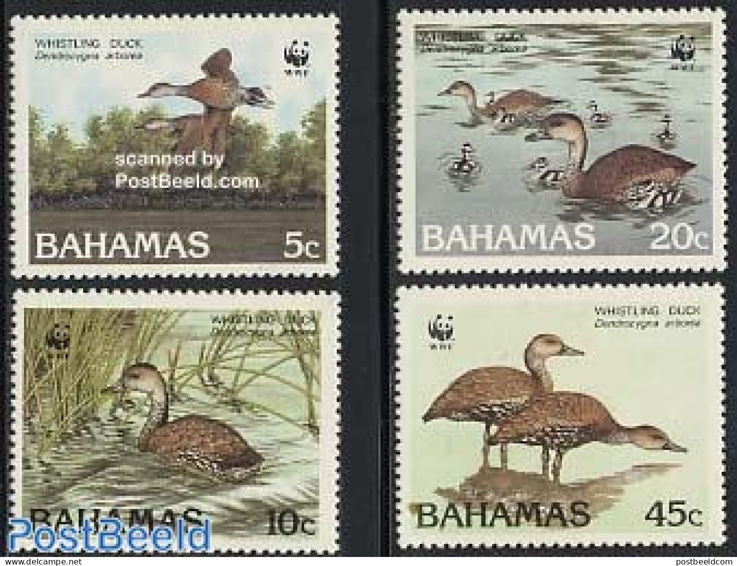 Bahamas 1988 WWF, Geese 4v, Mint NH, Nature - Birds - World Wildlife Fund (WWF) - Geese - Autres & Non Classés