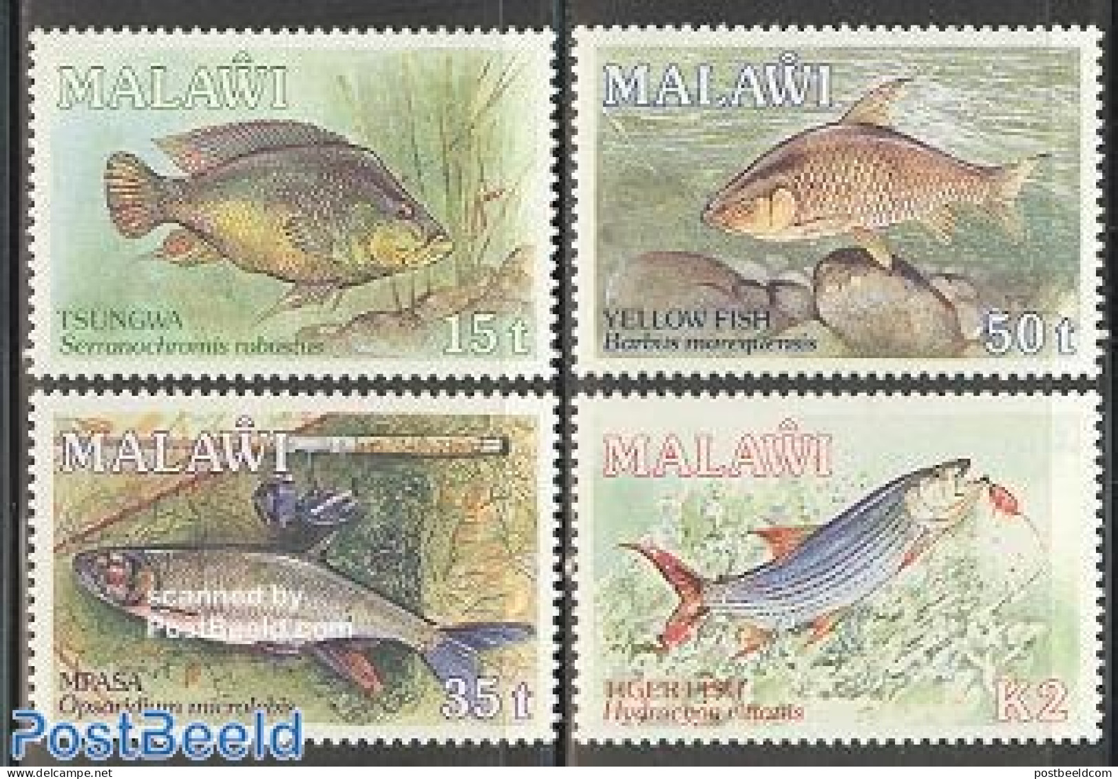 Malawi 1989 Fish 4v, Mint NH, Nature - Fish - Poissons