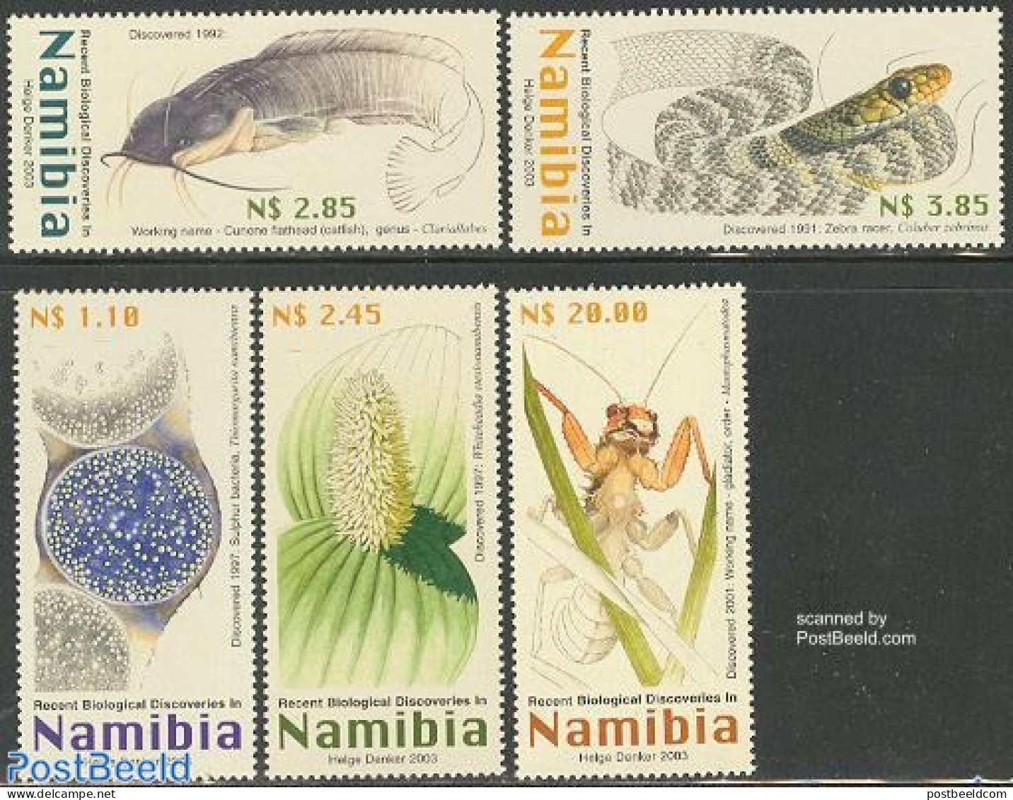 Namibia 2003 Recent Biological Discoveries 5v, Mint NH, Nature - Animals (others & Mixed) - Fish - Flowers & Plants - .. - Vissen