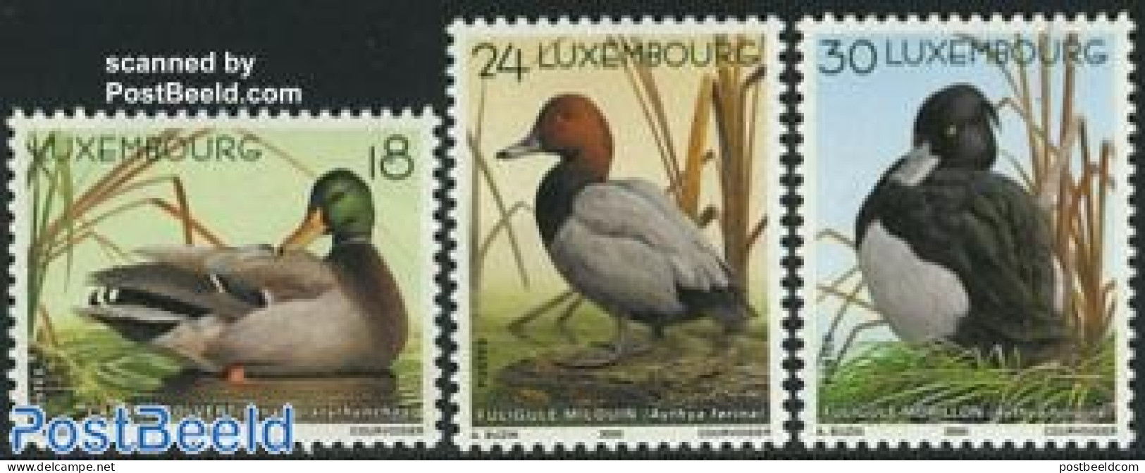 Luxemburg 2000 Ducks 3v, Mint NH, Nature - Birds - Ducks - Neufs