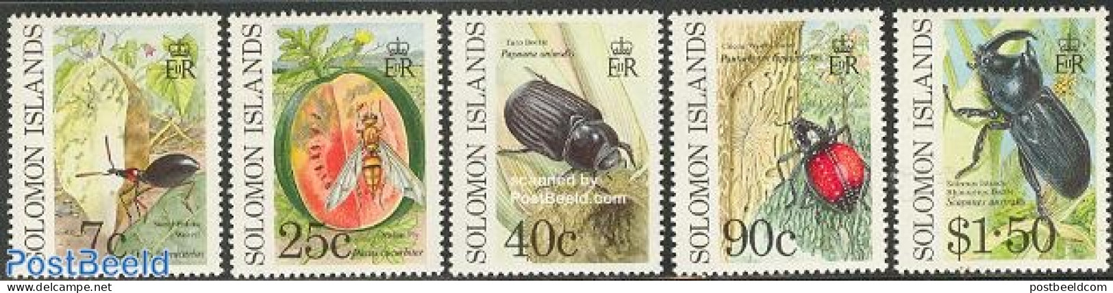 Solomon Islands 1991 Insects 5v, Mint NH, Nature - Insects - Isole Salomone (1978-...)