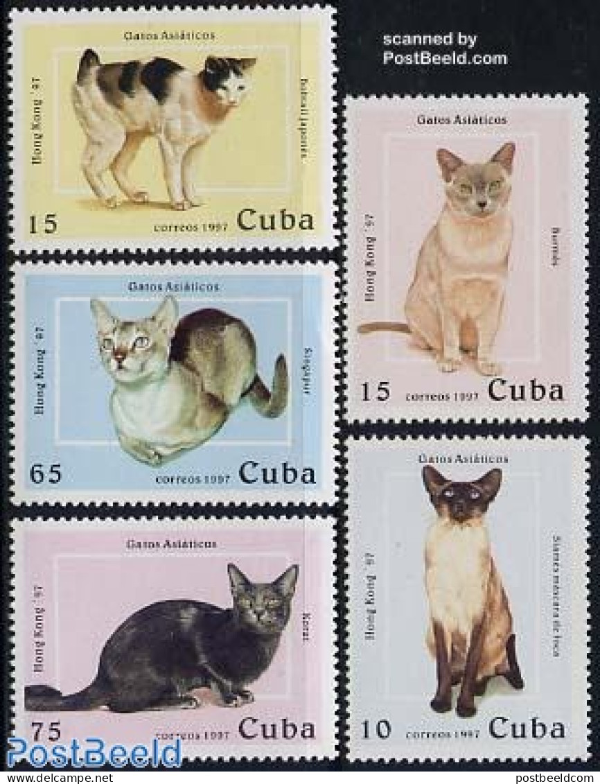 Cuba 1997 Hong Kong, Cats 5v, Mint NH, Nature - Cats - Unused Stamps