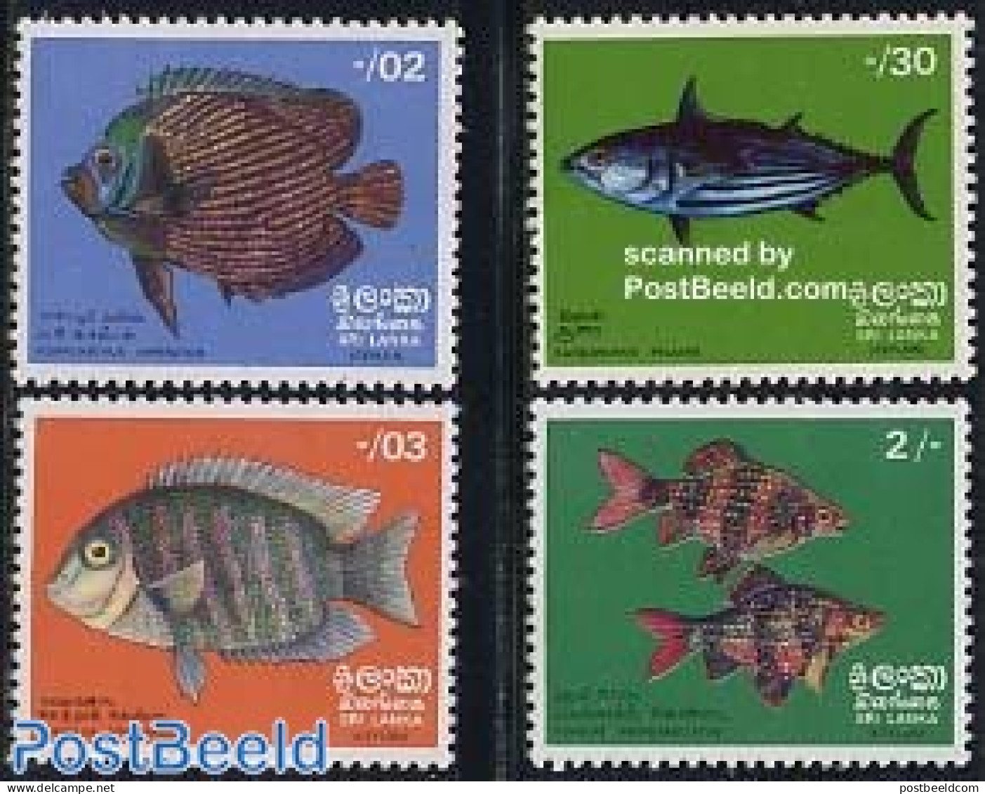 Sri Lanka (Ceylon) 1972 Fish 4v, Mint NH, Nature - Fish - Poissons