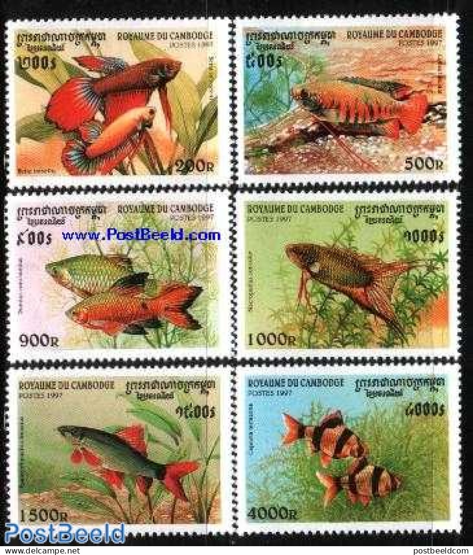 Cambodia 1997 Tropical Fish 6v, Mint NH, Nature - Fish - Poissons
