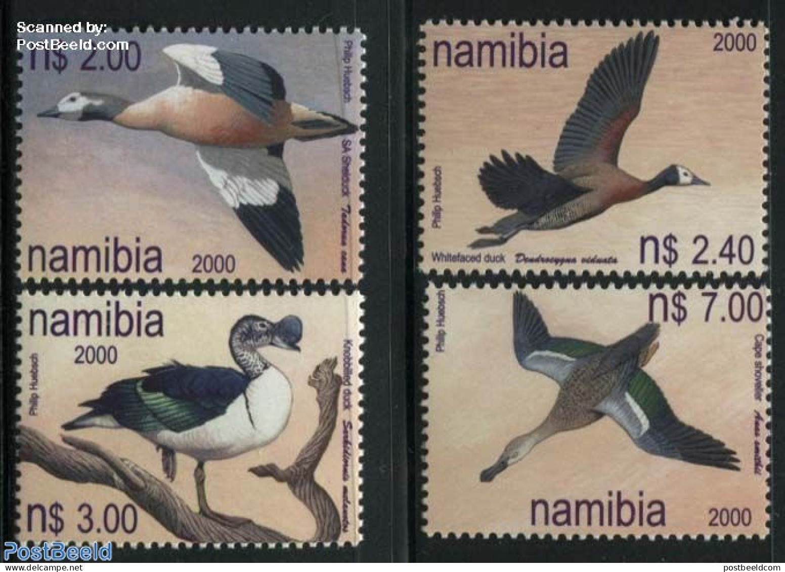 Namibia 2000 Ducks 4v, Mint NH, Nature - Birds - Ducks - Namibie (1990- ...)