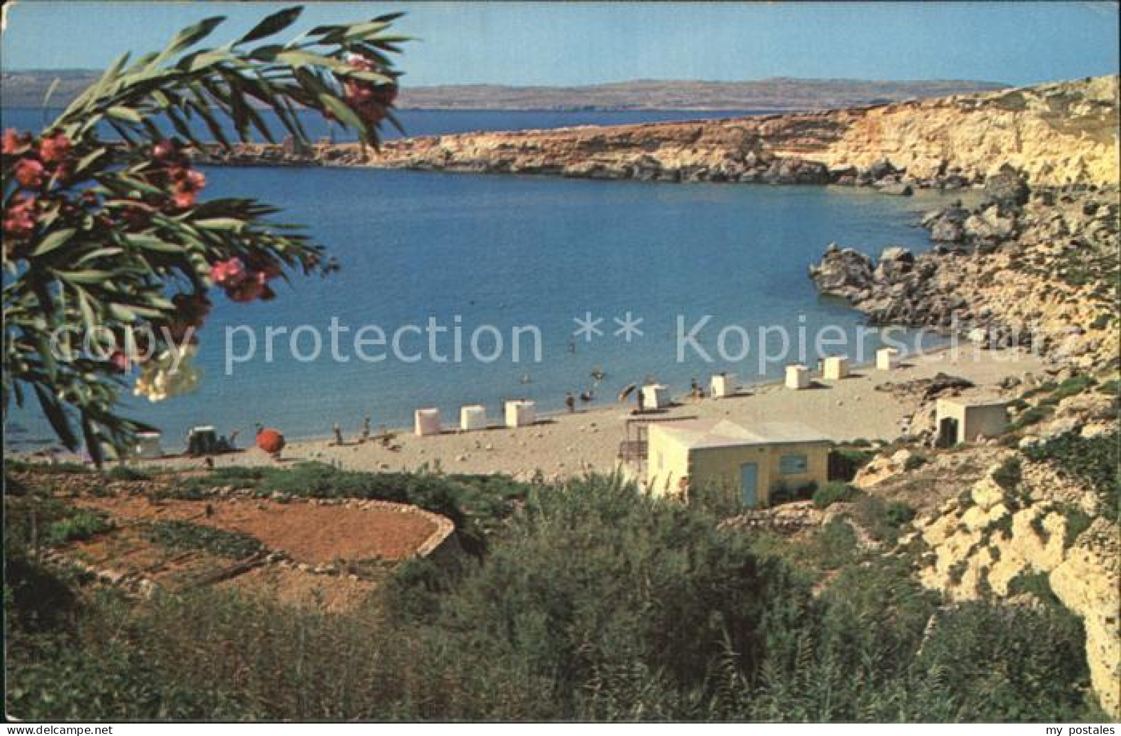 72550237 Malta Paradise Bay Malta - Malte