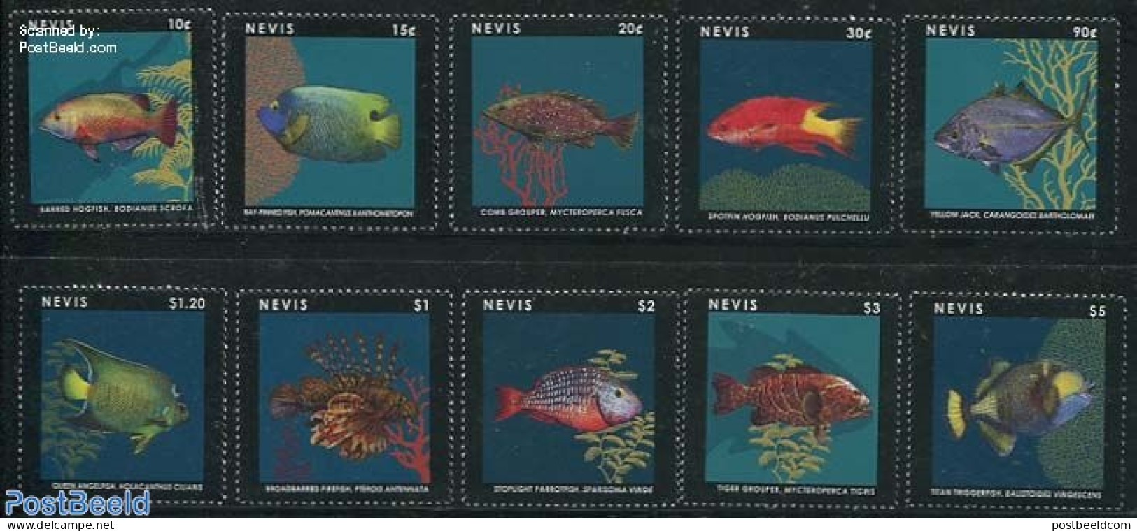 Nevis 2013 Definitives, Fish 10v, Mint NH, Nature - Fish - Poissons