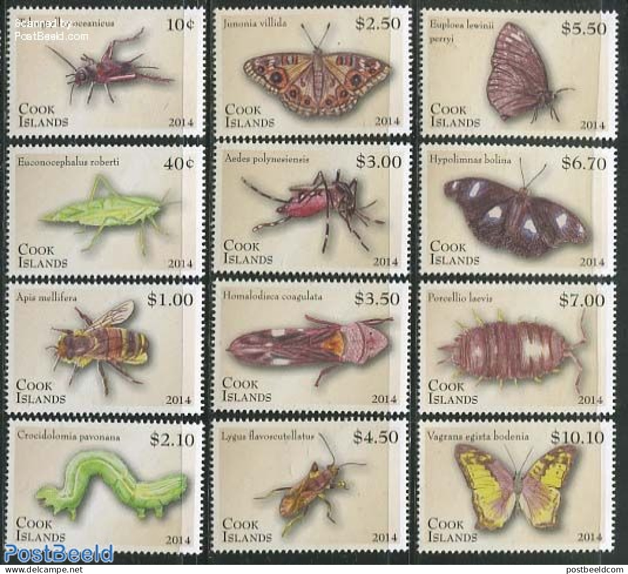 Cook Islands 2014 Definitives, Insects 12v, Mint NH, Nature - Butterflies - Insects - Autres & Non Classés
