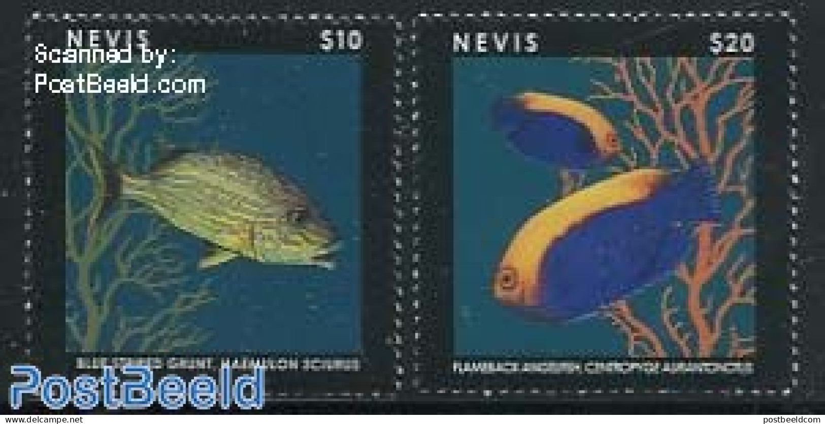 Nevis 2013 Definitives, Fish 2v, Mint NH, Nature - Fish - Vissen