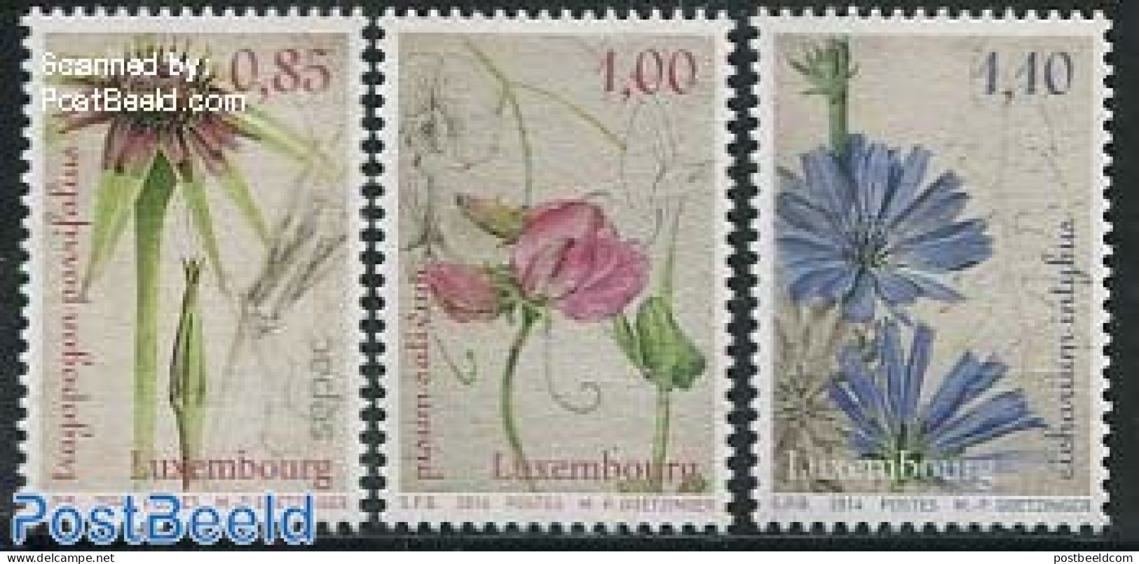 Luxemburg 2014 Flowers 3v, Mint NH, Nature - Flowers & Plants - Unused Stamps