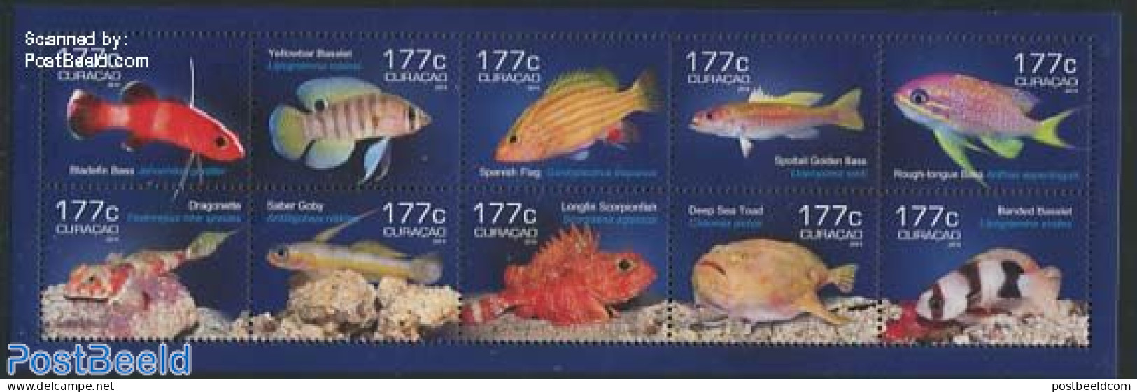 Curaçao 2014 Fish 10v M/s, Mint NH, Nature - Fish - Poissons